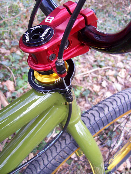 SundayModelC stem