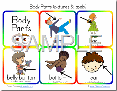 Education Cubes: Body Parts