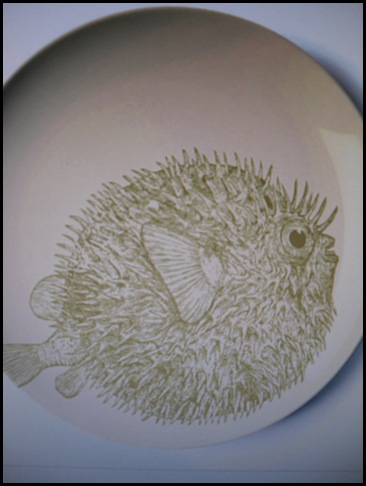 SDC14534