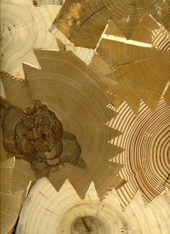 [legno5.jpg]