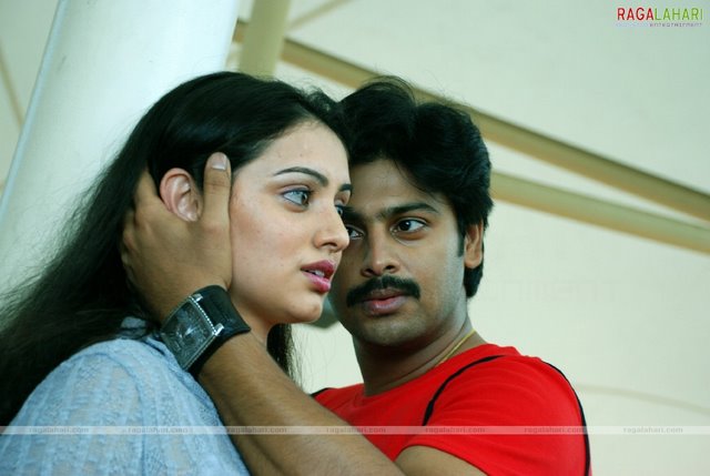 south indian stars photographs<br />
