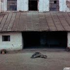 combate-na-escuridao-2.jpg