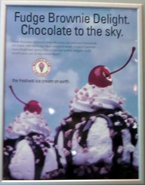 [fudgebrowniedelight[3].jpg]