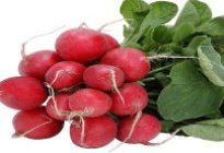 Photo of the item - Radishes
