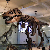New York - Museu de História Natural