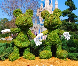 Disney 026