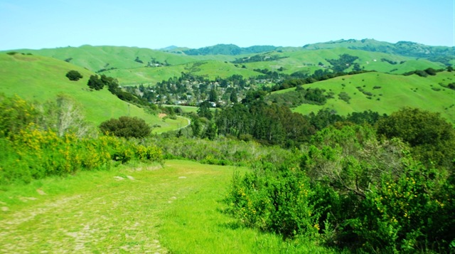 [Moraga[6].jpg]
