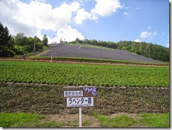 IMG_5433 IMG_5433