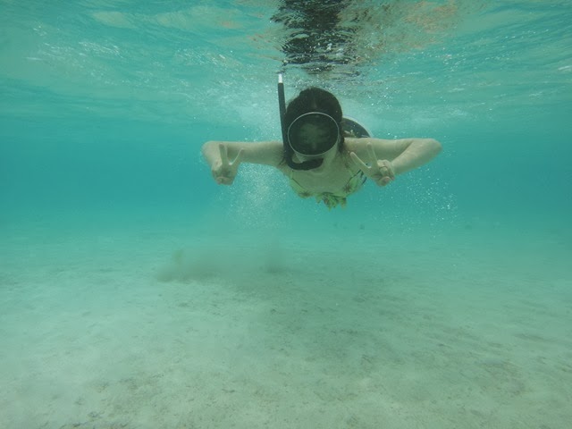 [DSC00436[2].jpg]