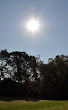 Thumbnail image for A New Look