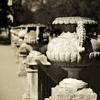 IMG_5425.jpg
