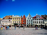 IMG_4392.jpg