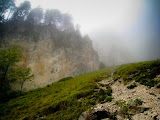 IMG_4522.jpg