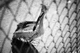 IMG_6020.jpg