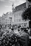 IMG_7749.jpg
