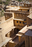 IMG_8863.jpg