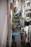 IMG_7227.jpg