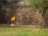 IMG_7555.jpg
