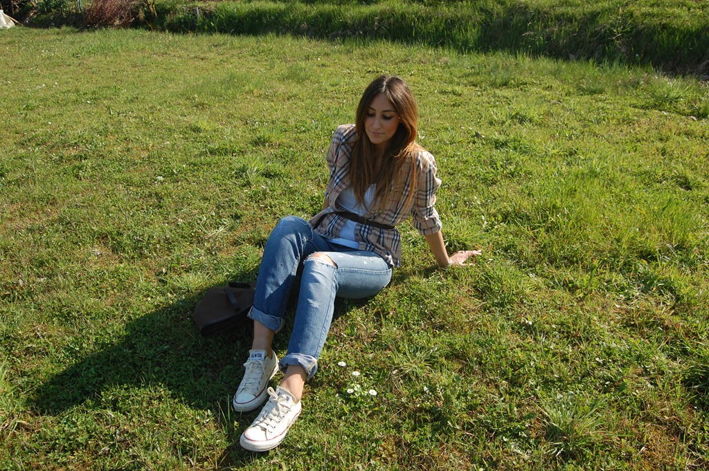 [DSC_038611.jpg]