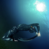 Freediving