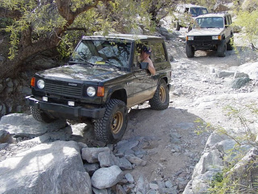 [Linked Image]