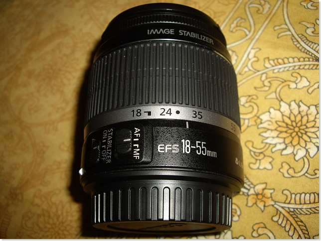 IMGP5520