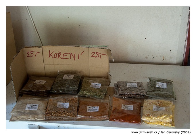 [koreni[6].jpg]