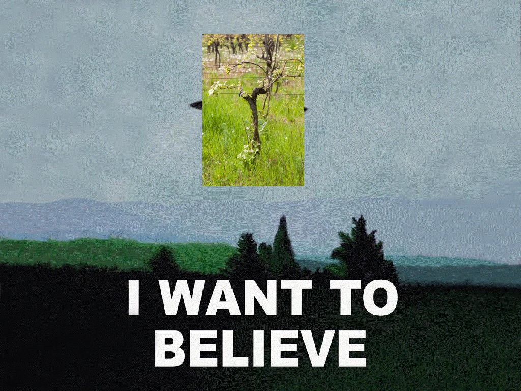 [i_want_to_believe6.jpg]