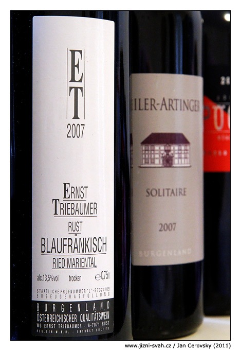 [triebaumer_mariental_blaufrankisch[3].jpg]