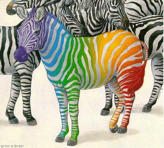 [zebra print[13].jpg]