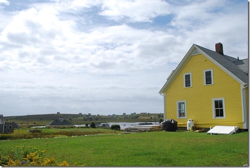 hells point yellow