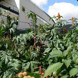 P1140256(2).JPG