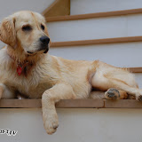 200608 brdesign-10.jpg