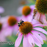 200707 brdesign-12.jpg