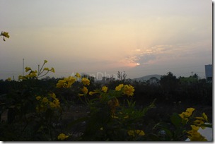 Yellow sun