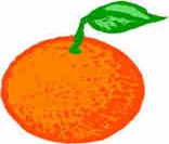 Orangeبرتقال Orangeبرتقال