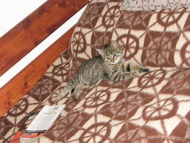 Качена снимка