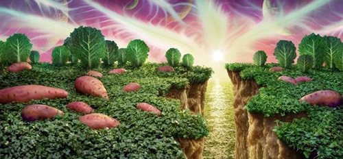 [05[4].jpg]