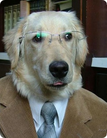 Avatar de usu&aacute;rio