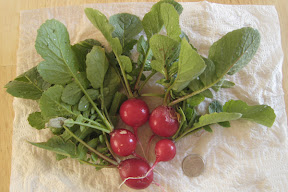 Radishes and a nickel