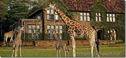 um zoologico diferente 4
