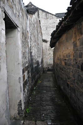 DSC_2190