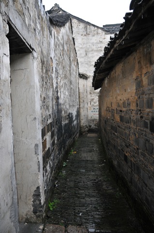 [DSC_21904.jpg]