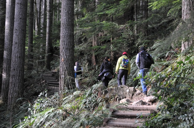 [DSC_3690[4].jpg]