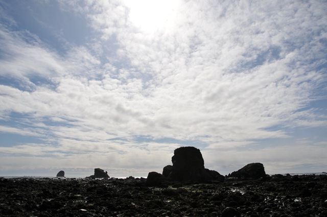 [DSC_46031.jpg]