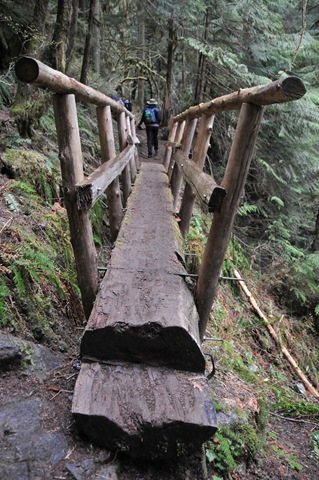 [DSC_4887[2].jpg]