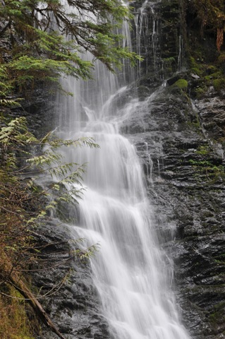 [DSC_4919[2].jpg]