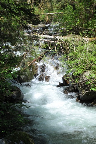 [DSC_50654.jpg]