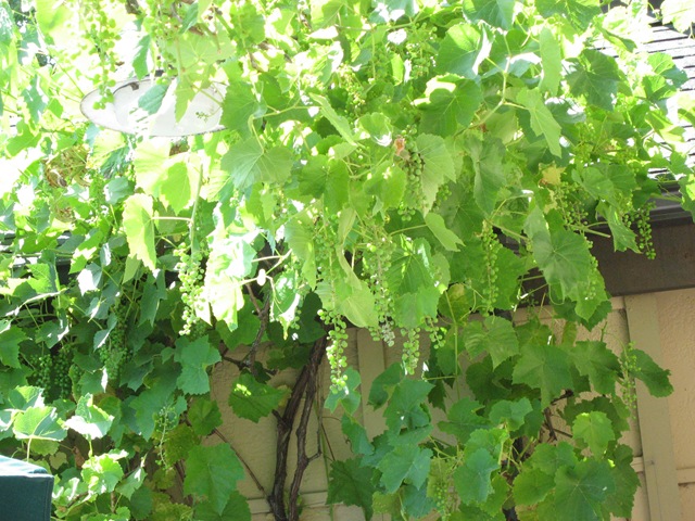 [IMG_91772.jpg]
