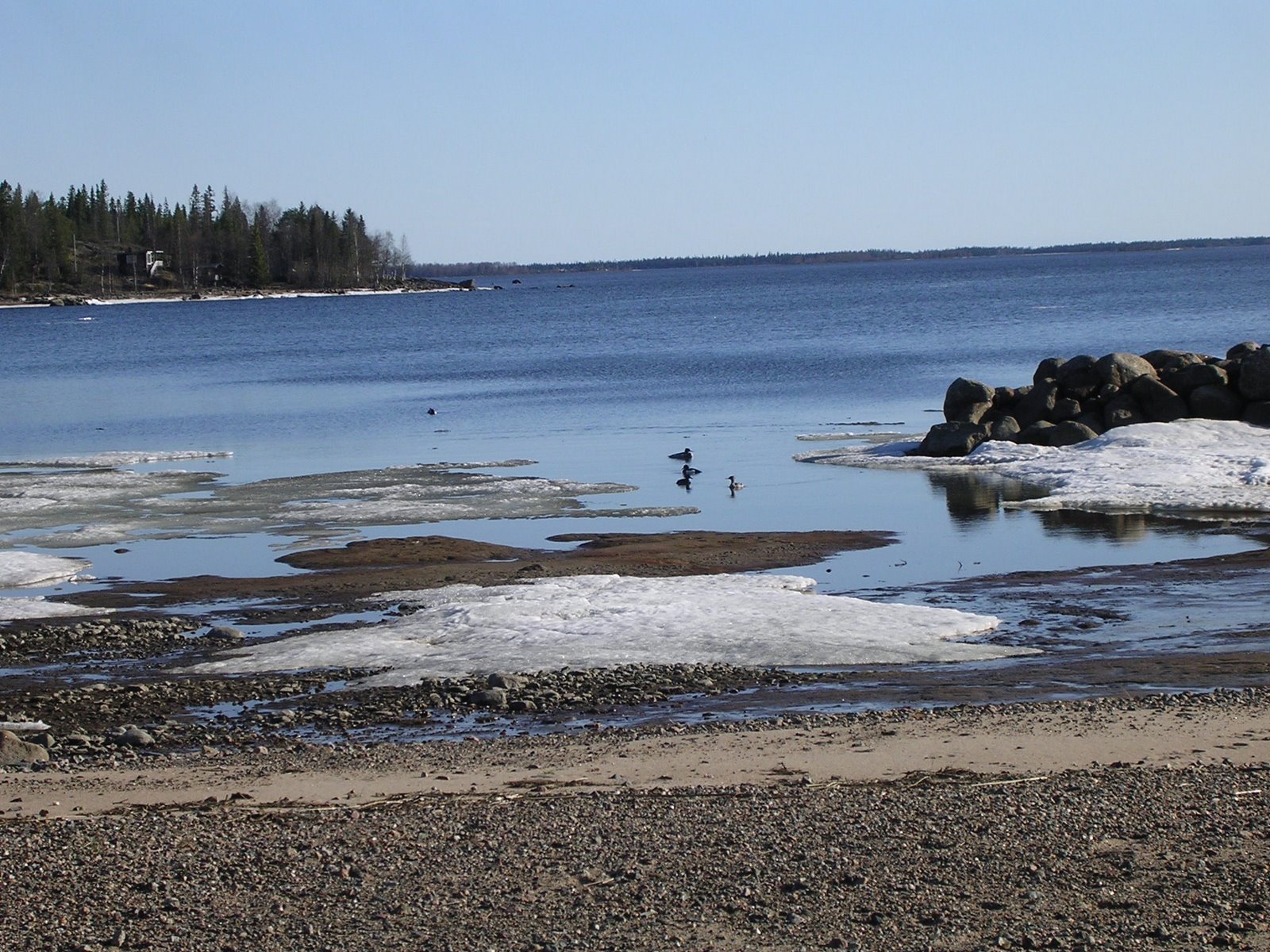 [DSCN3869.JPG]